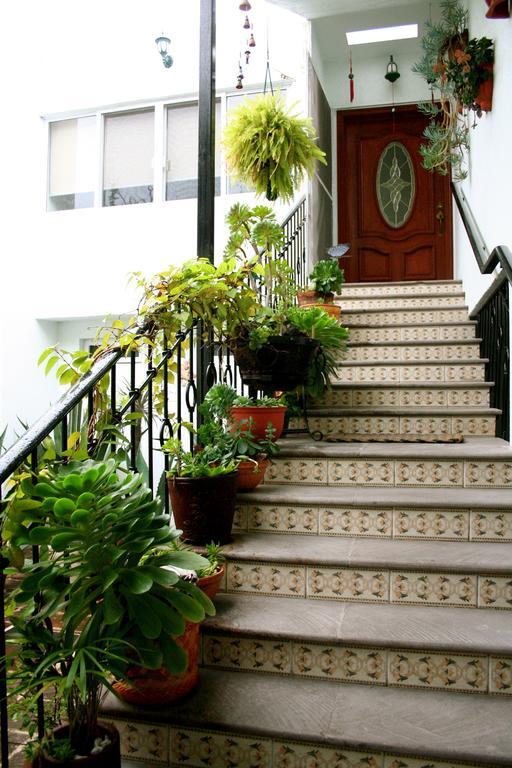 克雷塔罗 Residencia Sofia酒店 外观 照片